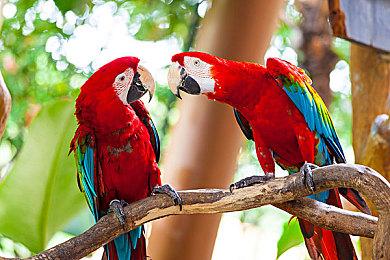 《EA Sports FC 26》7分钟深度实机 将满足玩家需求让体验更好